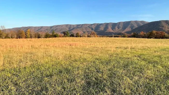 Presidential View RV Ranch Picture 1