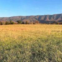 Presidential View RV Ranch ico