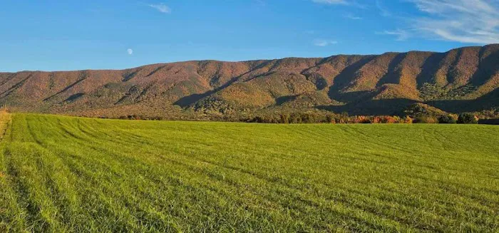 Presidential View RV Ranch Picture 3