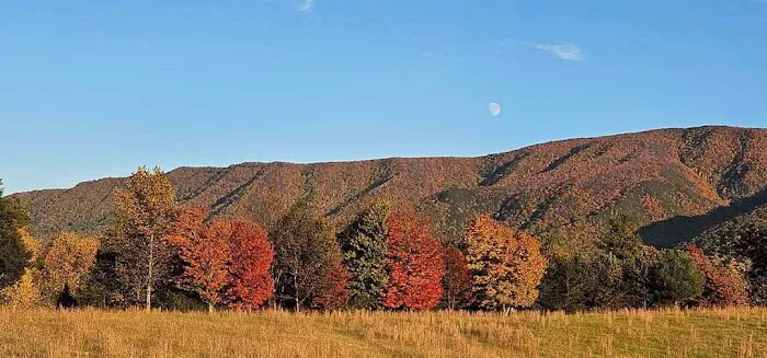 Presidential View RV Ranch Picture 2