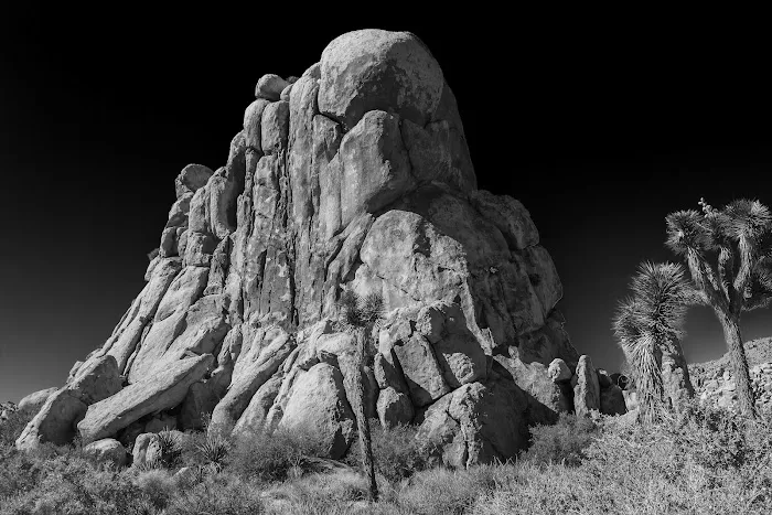 Hidden Valley Campground Picture 8