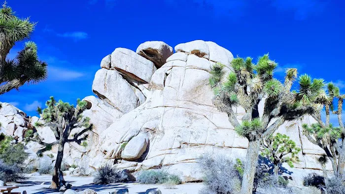 Hidden Valley Campground Picture 3