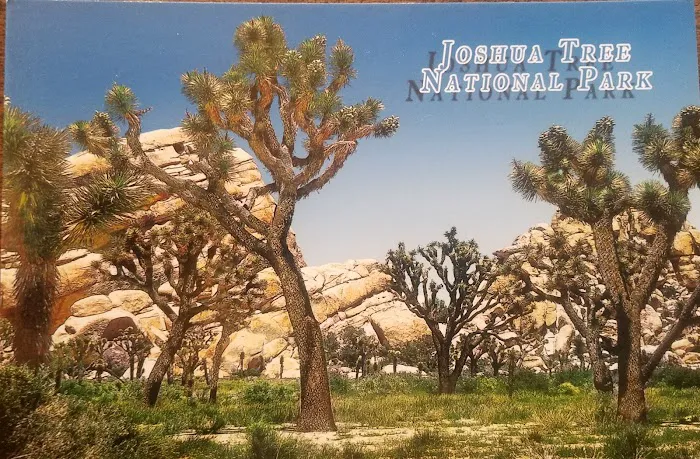 Hidden Valley Campground Picture 7