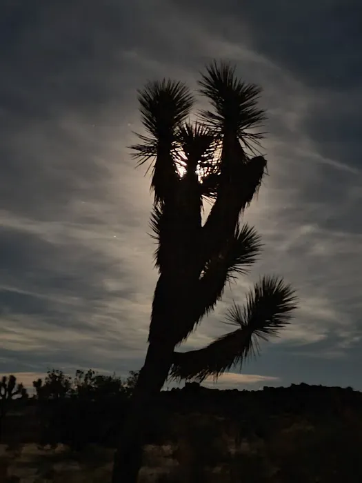 Sheep Pass Campground Picture 2