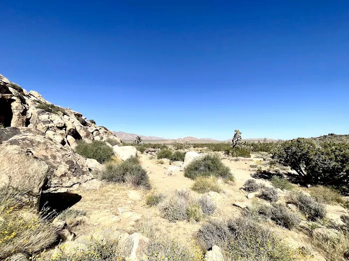 Sheep Pass Campground Picture 6