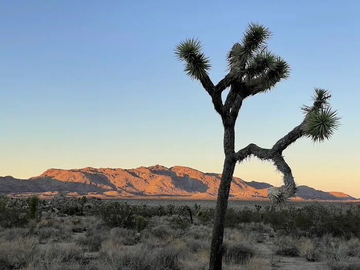 Sheep Pass Campground Picture 3