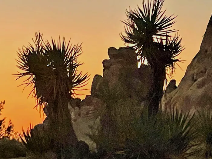 Sheep Pass Campground Picture 7