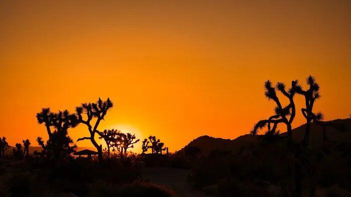 Sheep Pass Campground Picture 8