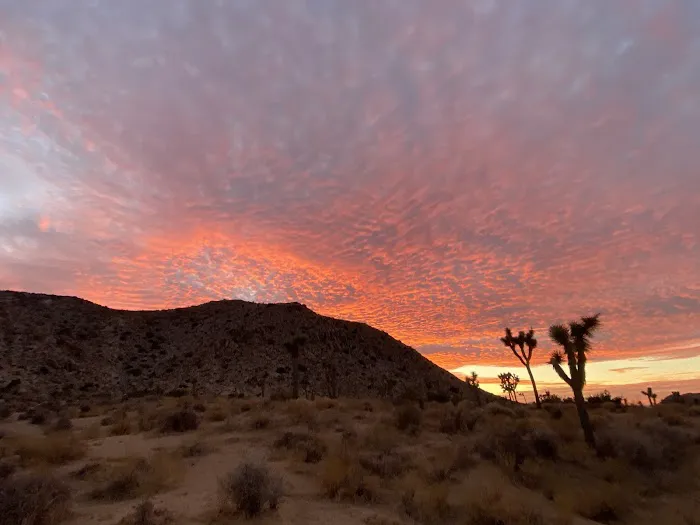 Sheep Pass Campground Picture 10