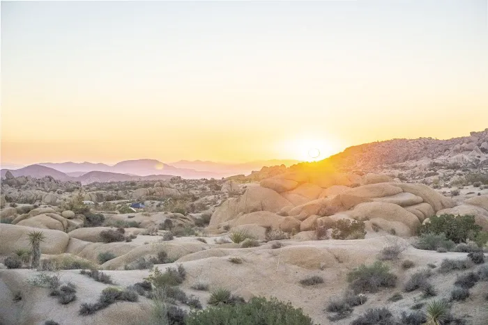 Jumbo Rocks Campground Picture 3