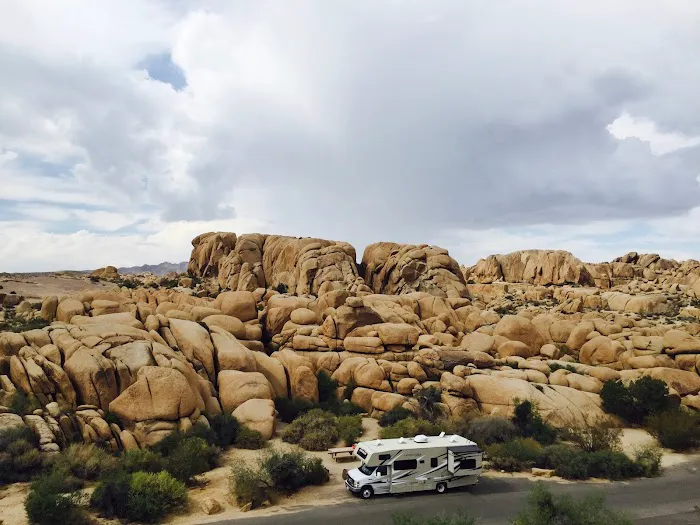 Jumbo Rocks Campground Picture 2