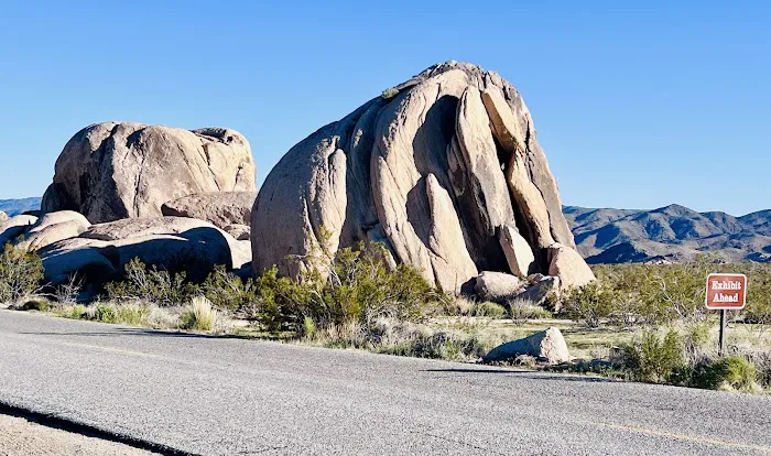 Jumbo Rocks Campground Picture 1