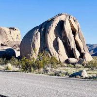 Jumbo Rocks Campground ico