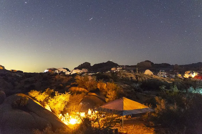 Jumbo Rocks Campground Picture 6