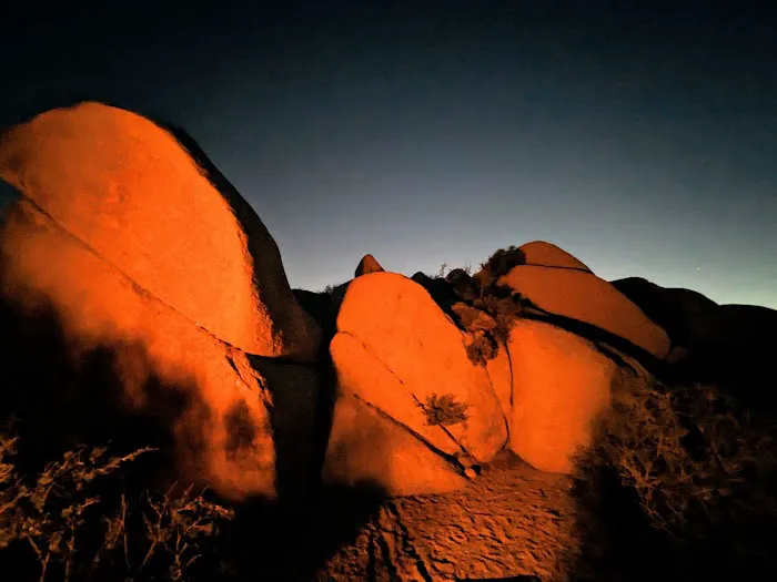 Jumbo Rocks Campground Picture 5