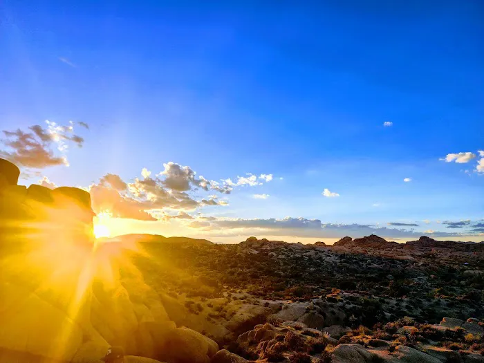 Jumbo Rocks Campground Picture 4