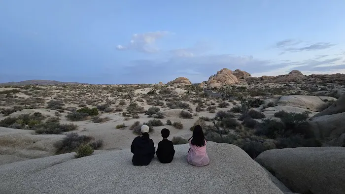 Jumbo Rocks Campground Picture 10