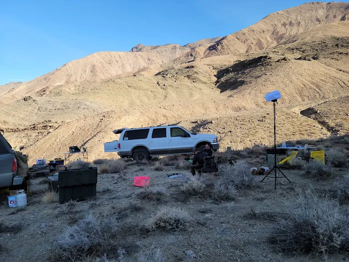 Jumbo Rocks Campground Picture 9