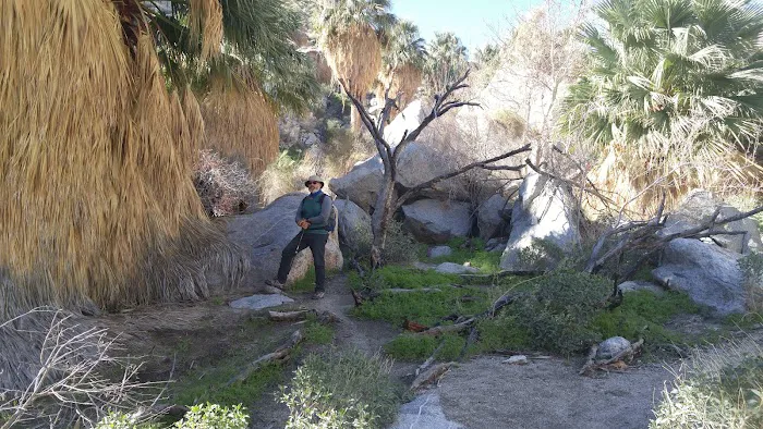 Yaqui Wash Primitive Campground Picture 5
