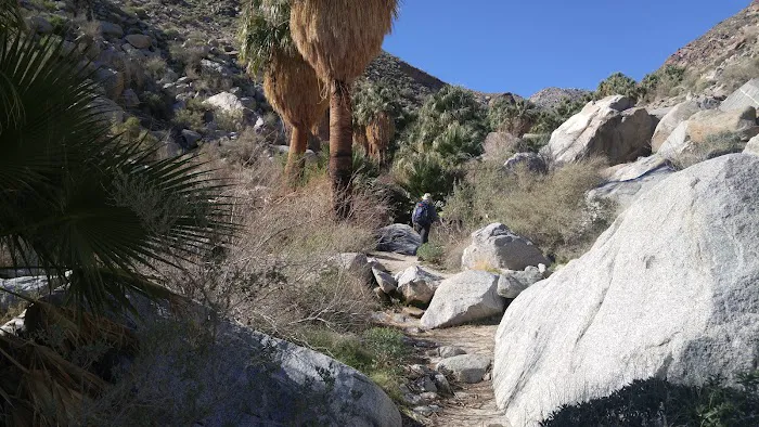 Yaqui Wash Primitive Campground Picture 6