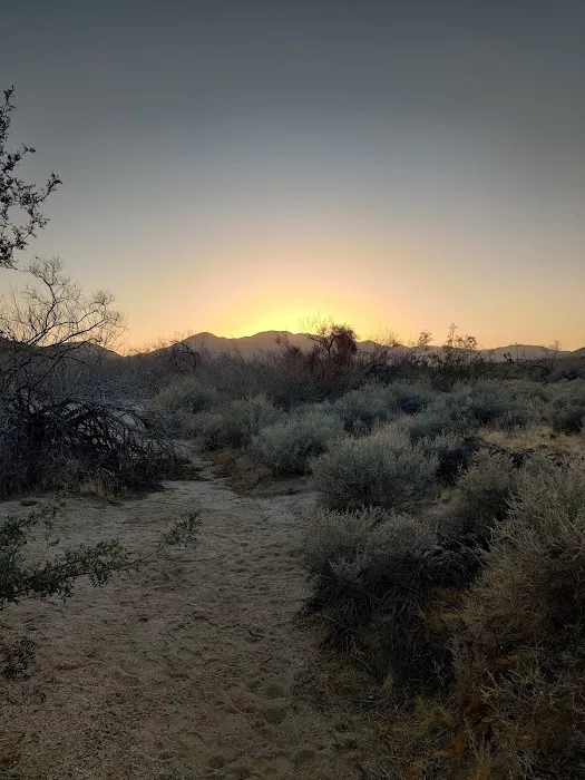 Yaqui Wash Primitive Campground Picture 1