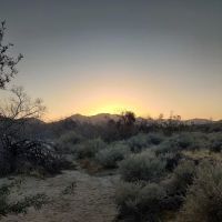 Yaqui Wash Primitive Campground ico