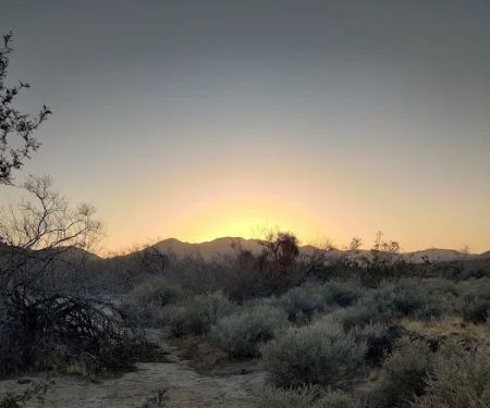 Yaqui Wash Primitive Campground