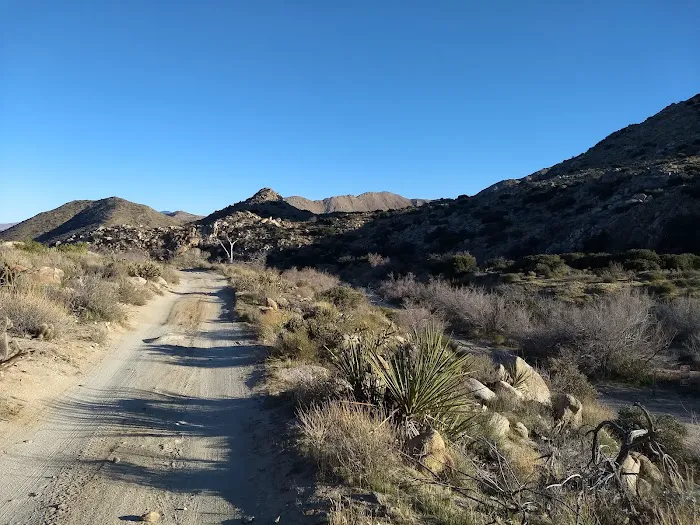 Yaqui Wash Primitive Campground Picture 3