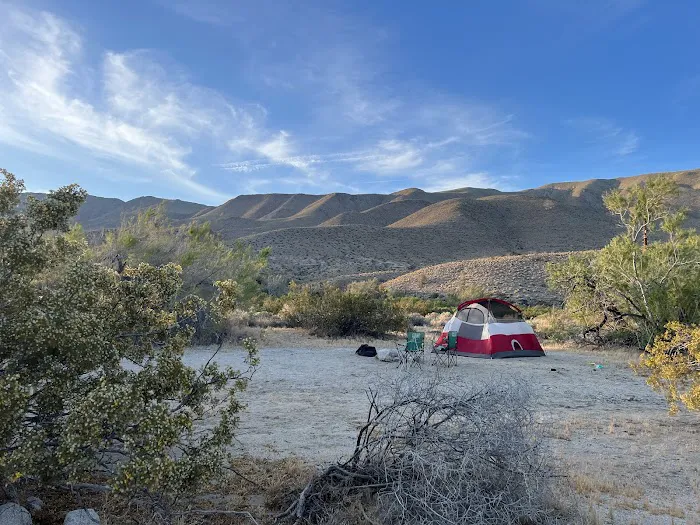 Yaqui Wash Primitive Campground Picture 2
