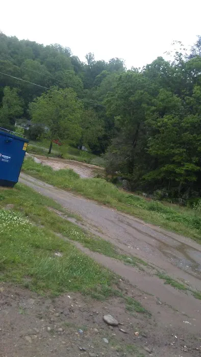 Big Ivy Mobile Home Park Picture 5