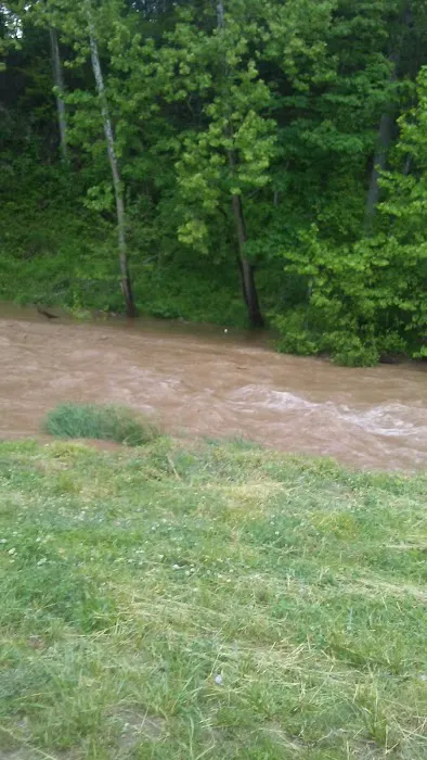 Big Ivy Mobile Home Park Picture 3