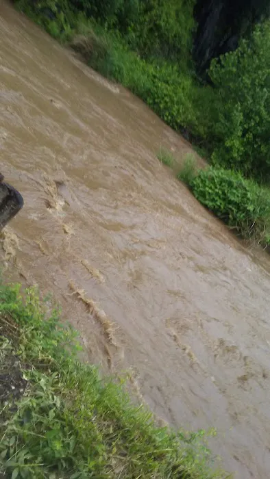 Big Ivy Mobile Home Park Picture 2