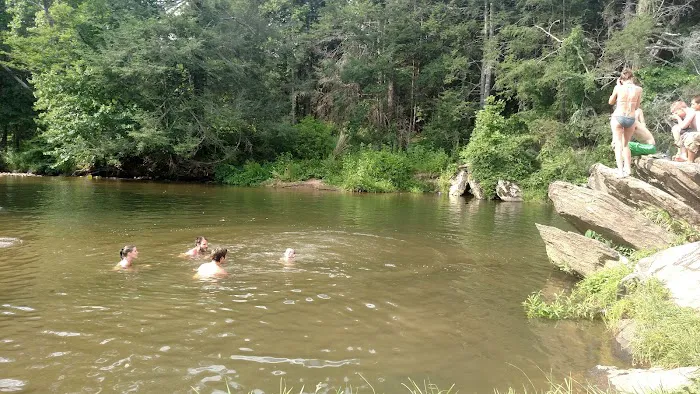 Big Ivy Mobile Home Park Picture 1