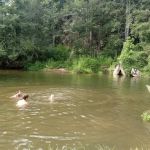 Big Ivy Mobile Home Park