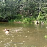 Big Ivy Mobile Home Park ico