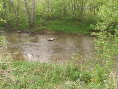 Kings Landing Picture 1