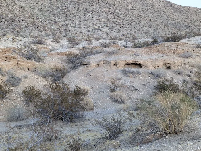 Yaqui Pass Camp Picture 5