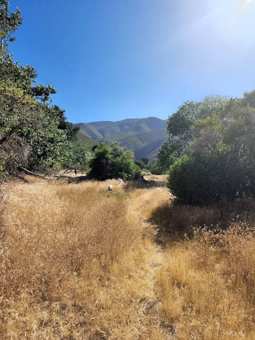 Banner Ranch Julian Picture 5