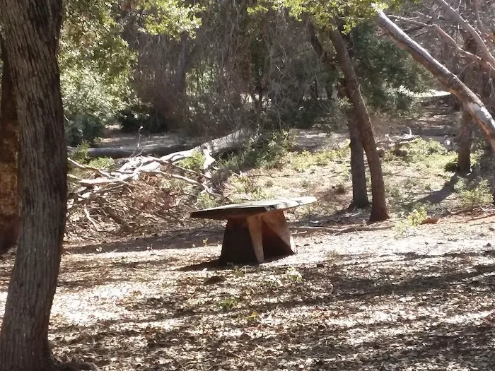 Pinezanita RV Park & Campgrounds Picture 8