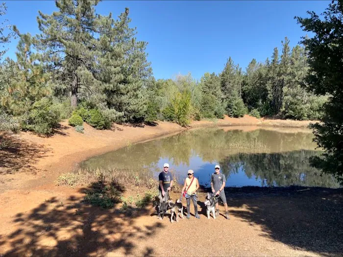 Pinezanita RV Park & Campgrounds Picture 4