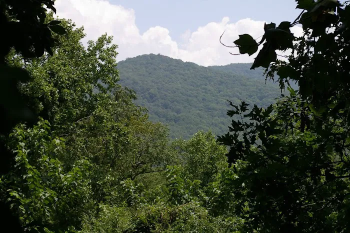 Scenic Community Picture 3