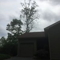 Scenic Community ico