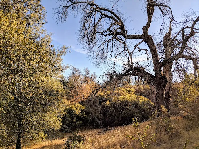 Green Valley Campground Picture 7