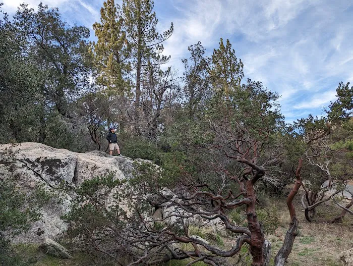 Green Valley Campground Picture 8