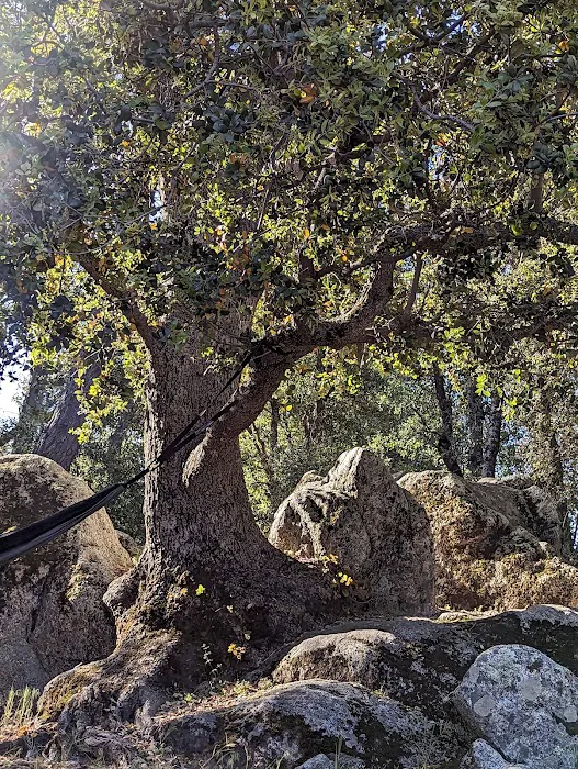 Green Valley Campground Picture 5