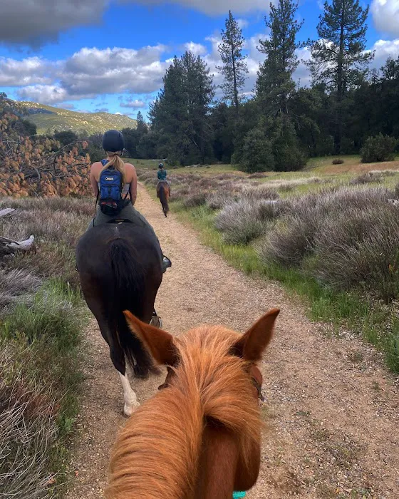 Green Valley Horse Camp Picture 3