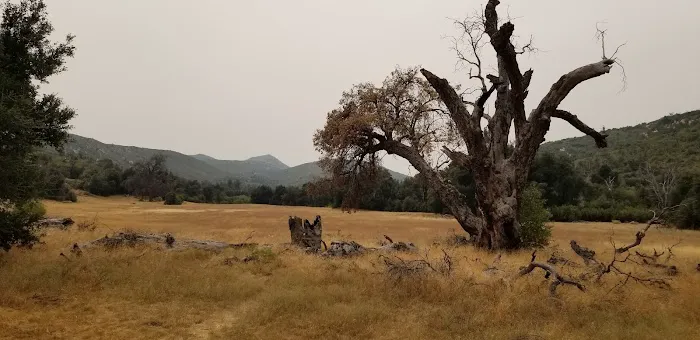 Green Valley Horse Camp Picture 7