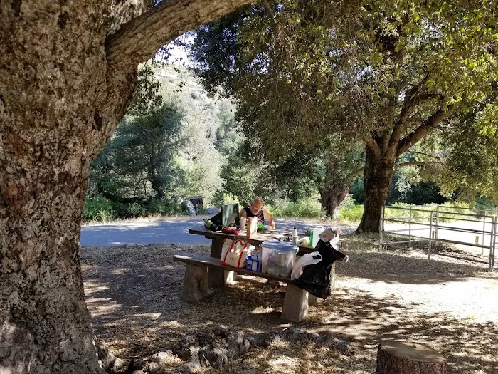 Green Valley Horse Camp Picture 10