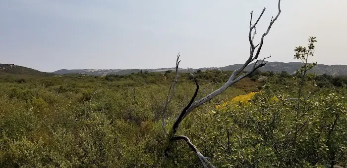 Green Valley Horse Camp Picture 8