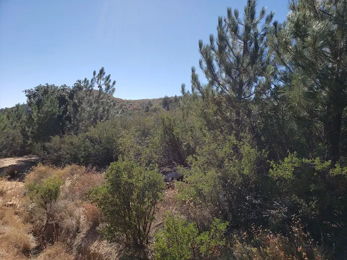 Green Valley Horse Camp Picture 6